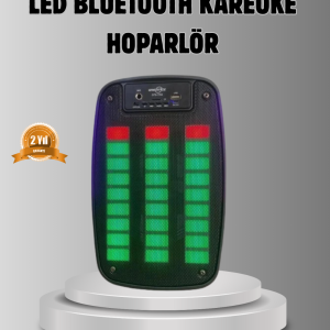 GTS 1793 Işıklı 6.5 İnç Kablosuz Hoparlör Bluetooth USB ve FM Özellikli