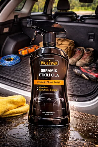 Seramikli Dis Cila 500Ml Pompali