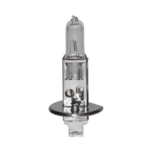 Ampul H1 12V 55W Halogen