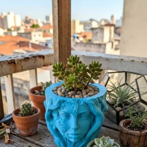 Minimalist Kadın Yüzü Heykel Tasarımlı 3D Dekoratif Saksı Vazo