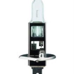 H1 12V 55W Ampul