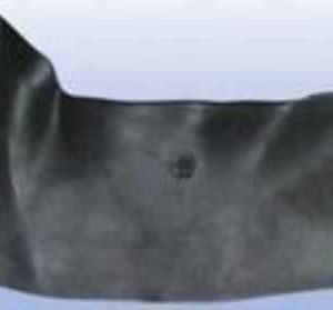 Hyundai H100/L300 Panelvan Paçalik Ön Sag