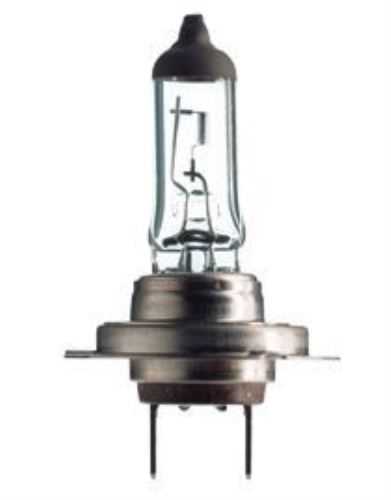 Ampul H7 12V 55W Halogen