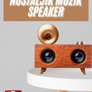 Gramafon Nostaljik Radyo Yüksek Ses Kalitesi USB TF Kart Aux