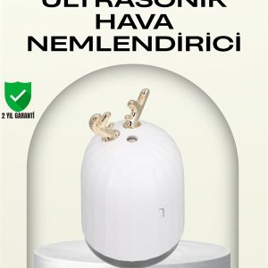 ABS+PP Malzemeli Taşınabilir 220 ml USB Mist Nemlendirici