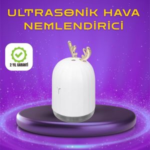 Renkli LED Işıklı ve Sürekli Spreyli Masa Nemlendirici