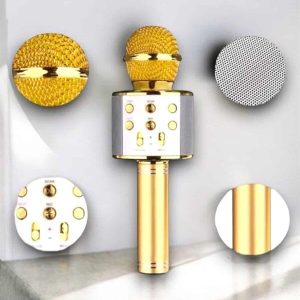 Taşınabilir Bluetooth Karaoke Mikrofon: Hafıza Kart Girişli Etkileyici Performans